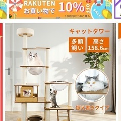 キャットタワーの画像