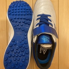アンブロ　22.5センチ　アクセレイター　トレーニングシューズの画像