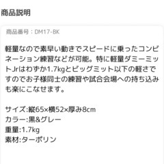 マーシャルワールドダミーミットJr ビックミット の画像