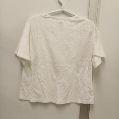 7-346-4　　子供　Ｔシャツ#818の画像