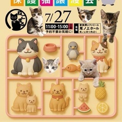 🐈ねこまる🐱あつまれ保護猫譲渡会🐈‍⬛　　ファミーユ尾ノ上…