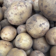 【無農薬・化学肥料不使用・自然栽培】じゃがいも 1kg（東広島・手渡し）🥔の画像