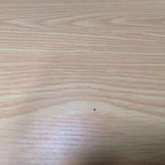 【お値下げしました】ゲーミングデスク・学習机の画像