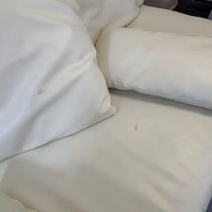 無料！高級　ソファの画像