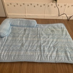 ニトリ　ペットごろ寝マットの画像