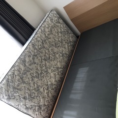 ニトリ　シングルベットの画像