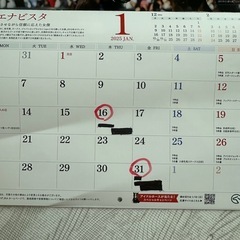 JRA カレンダー　競馬の画像