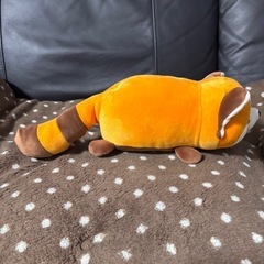 アライグマ　ぬいぐるみの画像