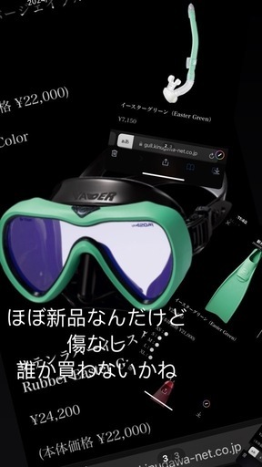 GULLマスクandフィン