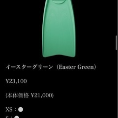 GULLマスクandフィンの画像