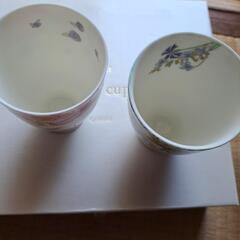 未使用湯飲みの画像