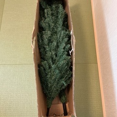 クリスマスツリーとオーナメントの画像