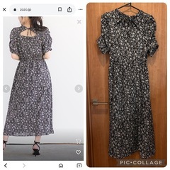 レディースMの画像