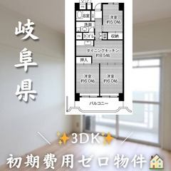 【西中島／3DK】✨初期費用0円✨2人入居OK👥ペット相談OK🐱