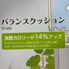 タニタ　
バランスクッションの画像