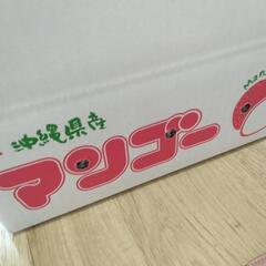 マンゴー６個化粧箱入りの画像