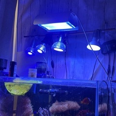 90cm 海水 水槽  セットの画像