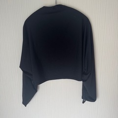 しろくまのきもち　　ボレロの画像