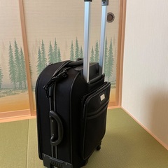 ACE製キャリーバッグの画像