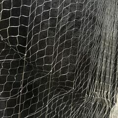 投網　　美品　　　　　　　の画像