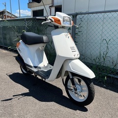 イブパックスS レア車の画像