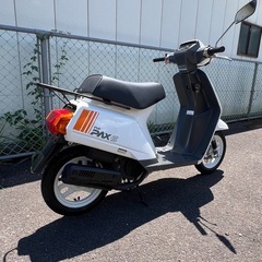 イブパックスS レア車の画像