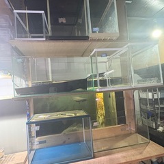 中古　小型水槽 ガラス水槽 熱帯魚 金魚の画像