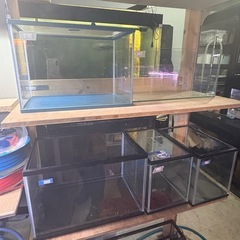 中古　小型水槽 ガラス水槽 熱帯魚 金魚の画像