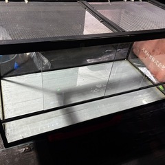 爬虫類ゲージ 90cm
の画像
