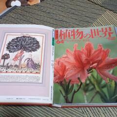 週間朝日百科植物の世界の画像