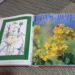 週間朝日百科植物の世界の画像