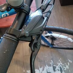ルイガノ セッターディスク 470mmの画像