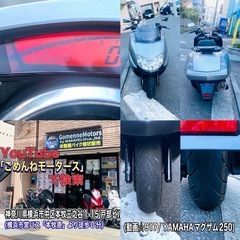   マグザム250 SG17J リアキャリア付きでコスパ最強な一台^_^の画像
