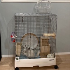 小動物ゲージ　チンチラ　デグーの画像