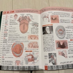 肉単、臓単2冊まとめての画像