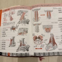 肉単、臓単2冊まとめての画像