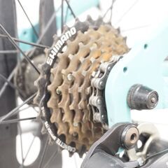 BIANCHI EAGLE 24 年式不明 24インチ マウンテンバイクの画像