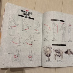 骨盤ナビの画像