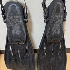 足ひれ差し上げますの画像
