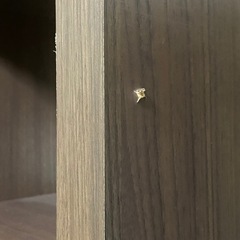 收纳棚の画像