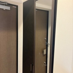 姿見　壁掛けタイプの画像