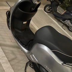 【急募】ジョルノの画像