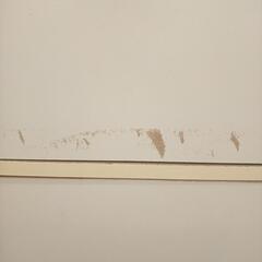 【リユースのサカイ八街店】★ジモティ割あり★ カラーボックス　ホワイト　クリーニング済　YJ6938の画像