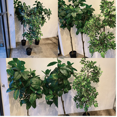 造木 3点セットの画像
