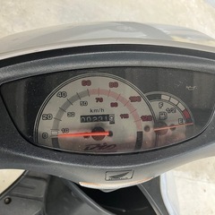 ライブディオZX 純正白の画像