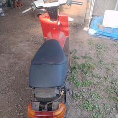 チャンプ　54V 　の画像