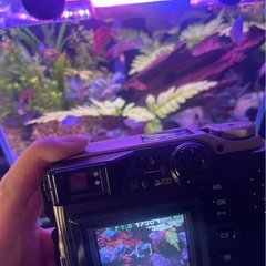オリンパス デジタルカメラの画像