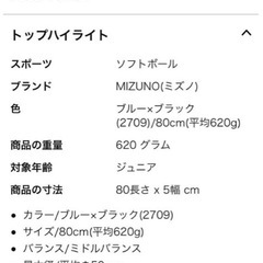 ミズノ　ソフトボール2号　1CJFS613 バット　ケース付きの画像