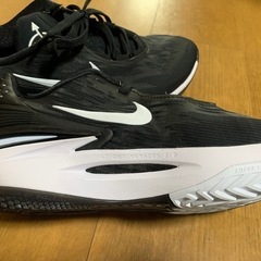 未使用品　
ナイキ(NIKE) バスケットシューズ エアズーム GT カット2 EP DJ6013-006の画像