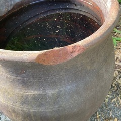 水瓶、睡蓮鉢、古民家、昭和レトロ
の画像